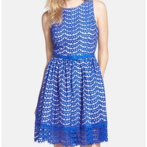 Eliza J Blue Lace Cobolt Blue Fit Flare Dress 14